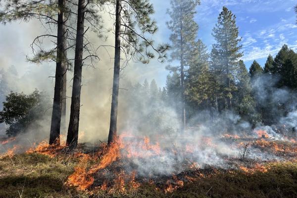 THE POWER OF GOOD FIRE